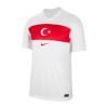 Maillot de Supporter Turquie Domicile Euro 2024 Pour Enfant